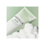 SKIN 1004 - Madagascar Centella Tea-trica BHA Foam